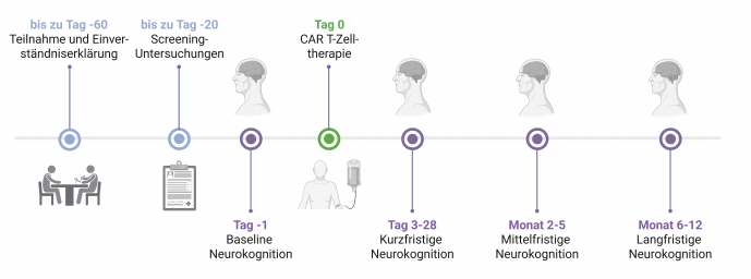 Abbildung - CAR-COG_ Übersicht über den Ablauf der Studie